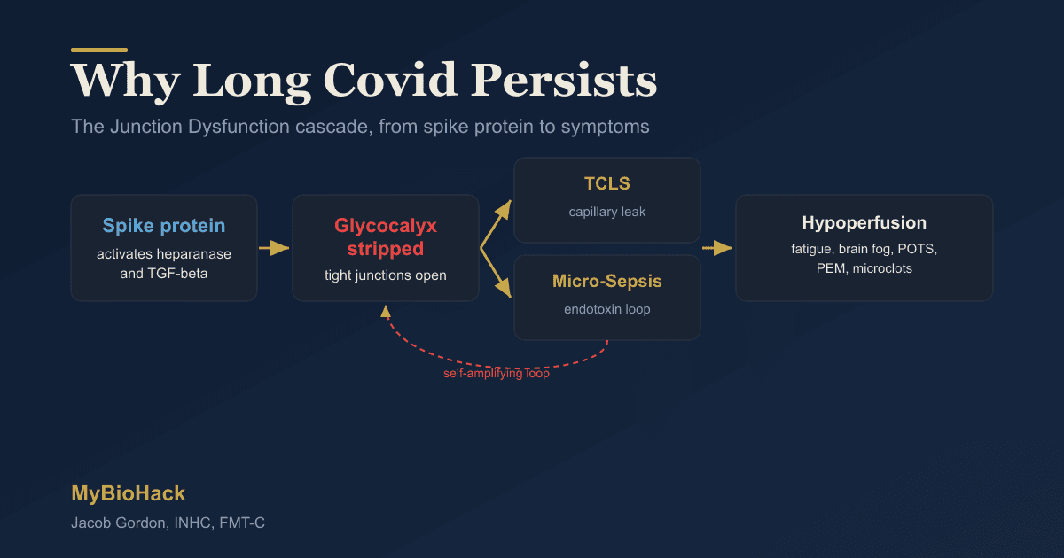 7 Steps to Naturally Treat Long Covid (Science-Based Protocol)
