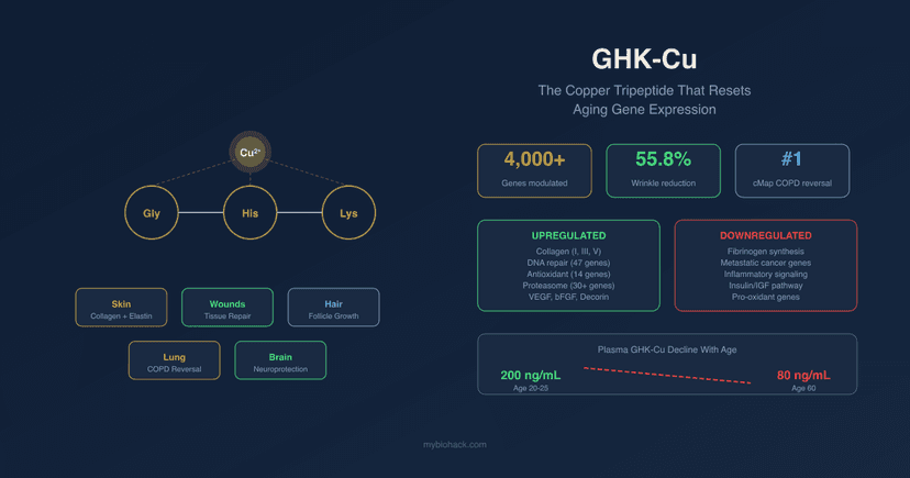 GHK-Cu: The Copper Tripeptide That Resets Aging Gene Expression