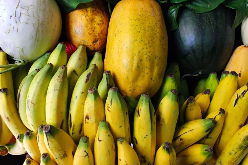 How To Keep Your SIgA At A Healthy Level (SIgA Part 3)
