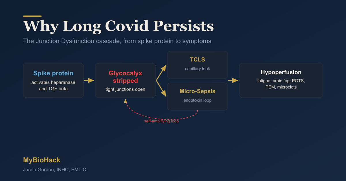 7 Steps to Naturally Treat Long Covid (Science-Based Protocol) | MyBioHack