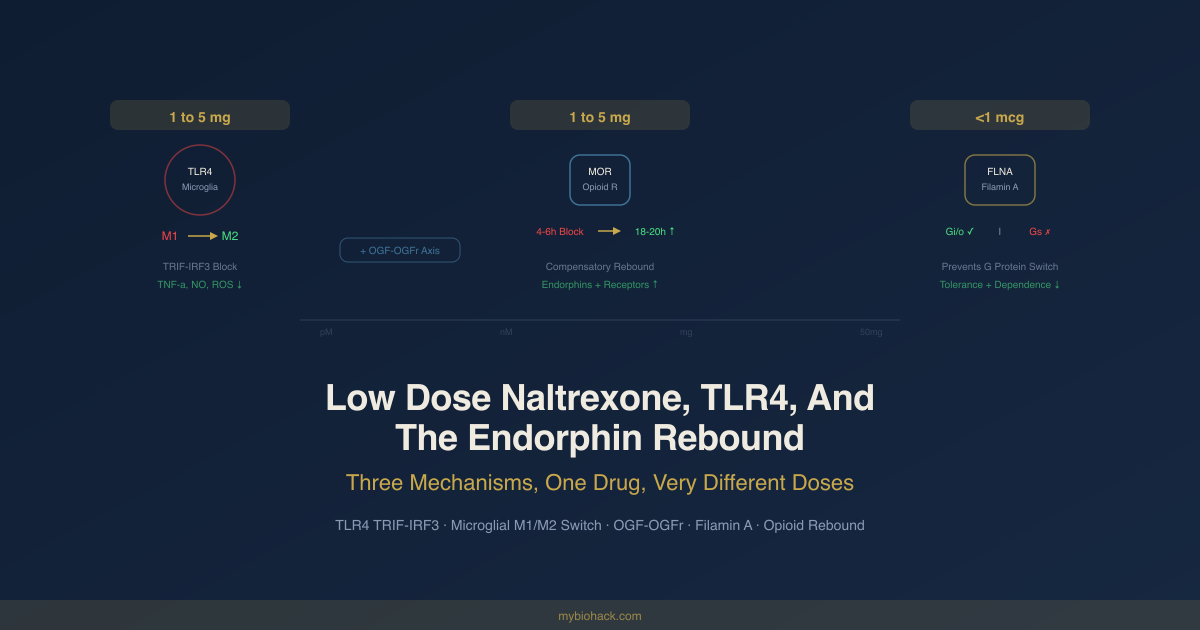 Low dose naltrexone hero illustration