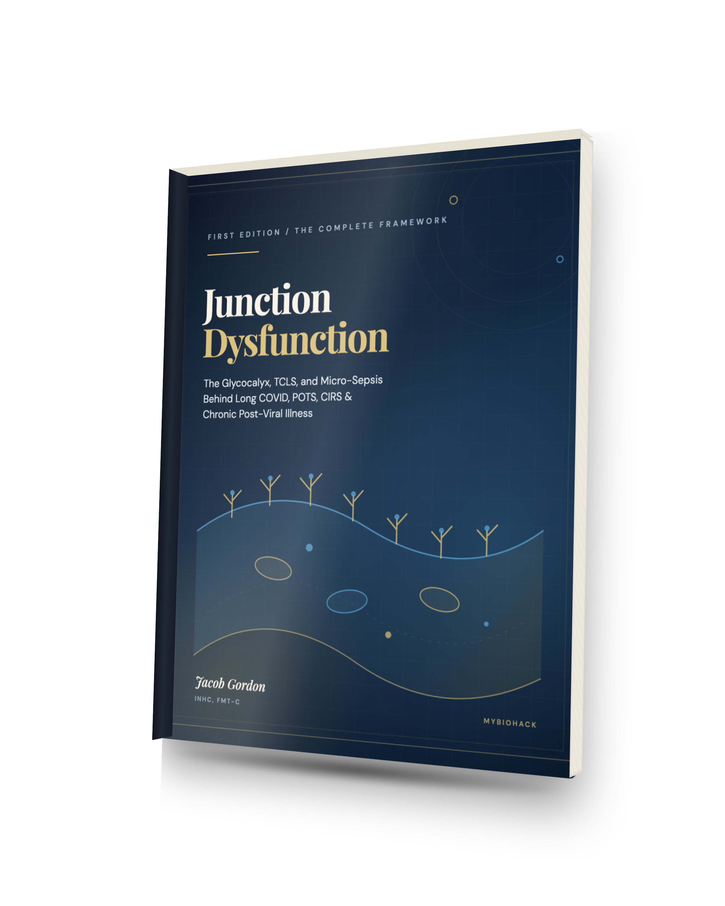 Junction Dysfunction: The Complete Framework